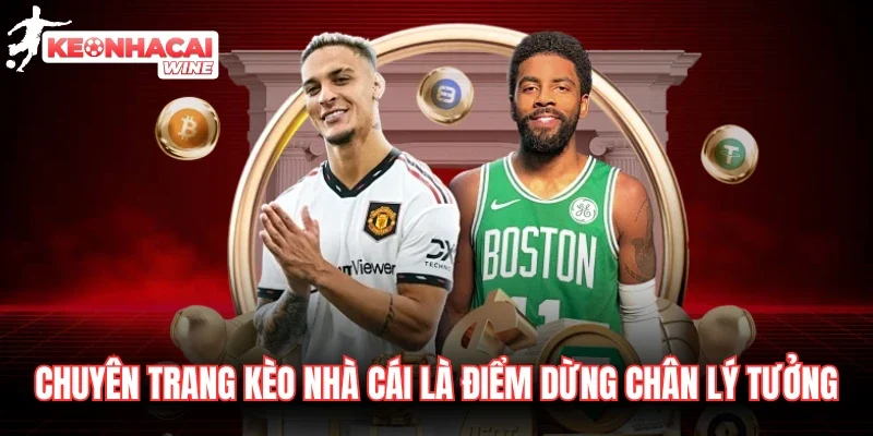 tructuyenbongda.info là chuyên trang cung cấp tỷ lệ kèo uy tín tructuyenbongda.info là chuyên trang cung cấp tỷ lệ kèo uy tín